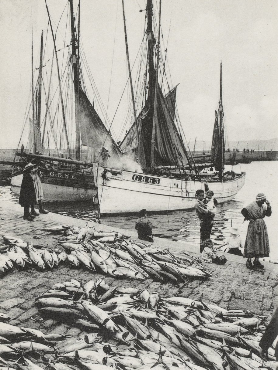 Douarnenez, Conserves, fabrication des boîtes. Cartes postales pour l